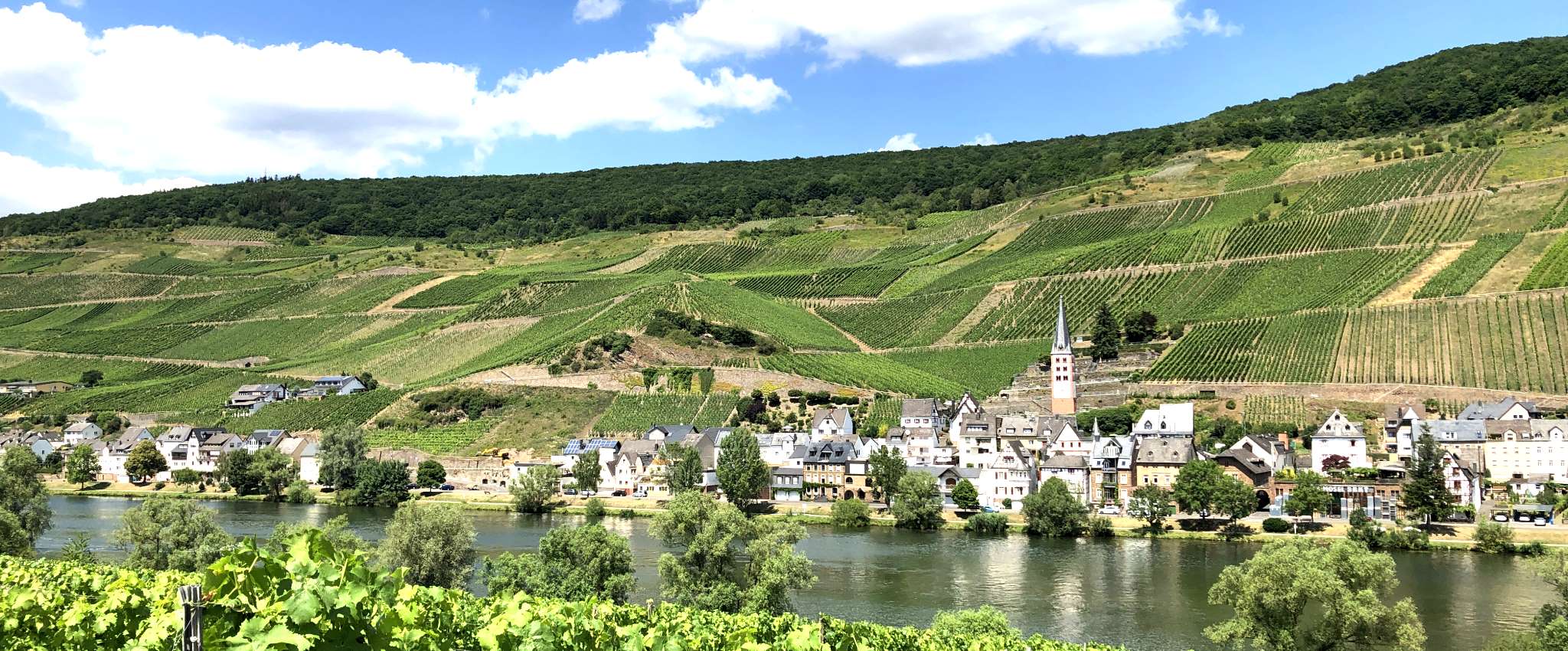 Gästehaus Falk in Zell (Mosel) wird zu Ferienwohnungen Merl, Zandtstr. 9, 56856 Merl, Zell (Mosel).